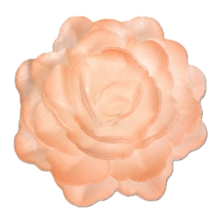 Dekorace oplatková - Růže velká 55 mm, sv.oranžová, 3 ks
